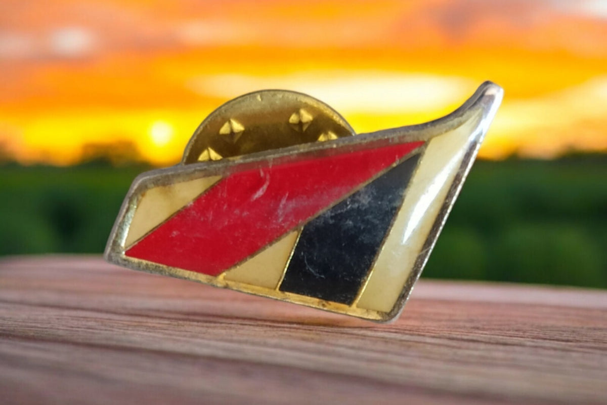 Vintage Euralair International 80s airplane pin, rare tricolor enamel