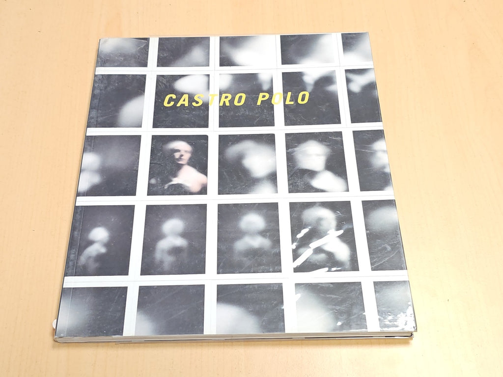 Livre Castro Polo Galerie Enrico Navarra Paris 1996 Art Catalogue Exposition