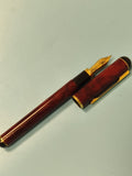 Stylo plume rétro Pierre Cardin ancien, écriture vintage collection écrivant rar