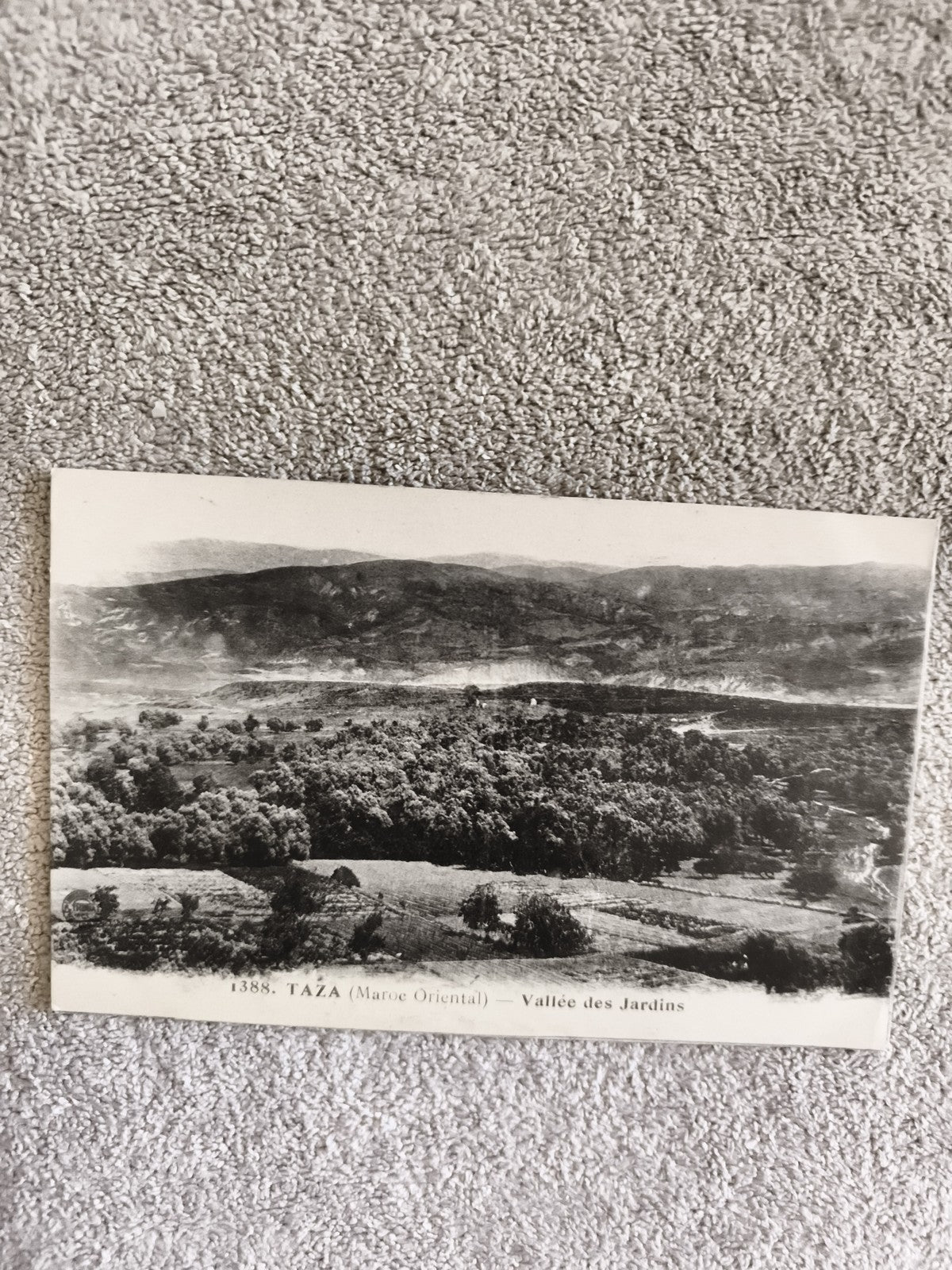 Carte postale CPA Taza Maroc Oriental Vallée des Jardins paysage