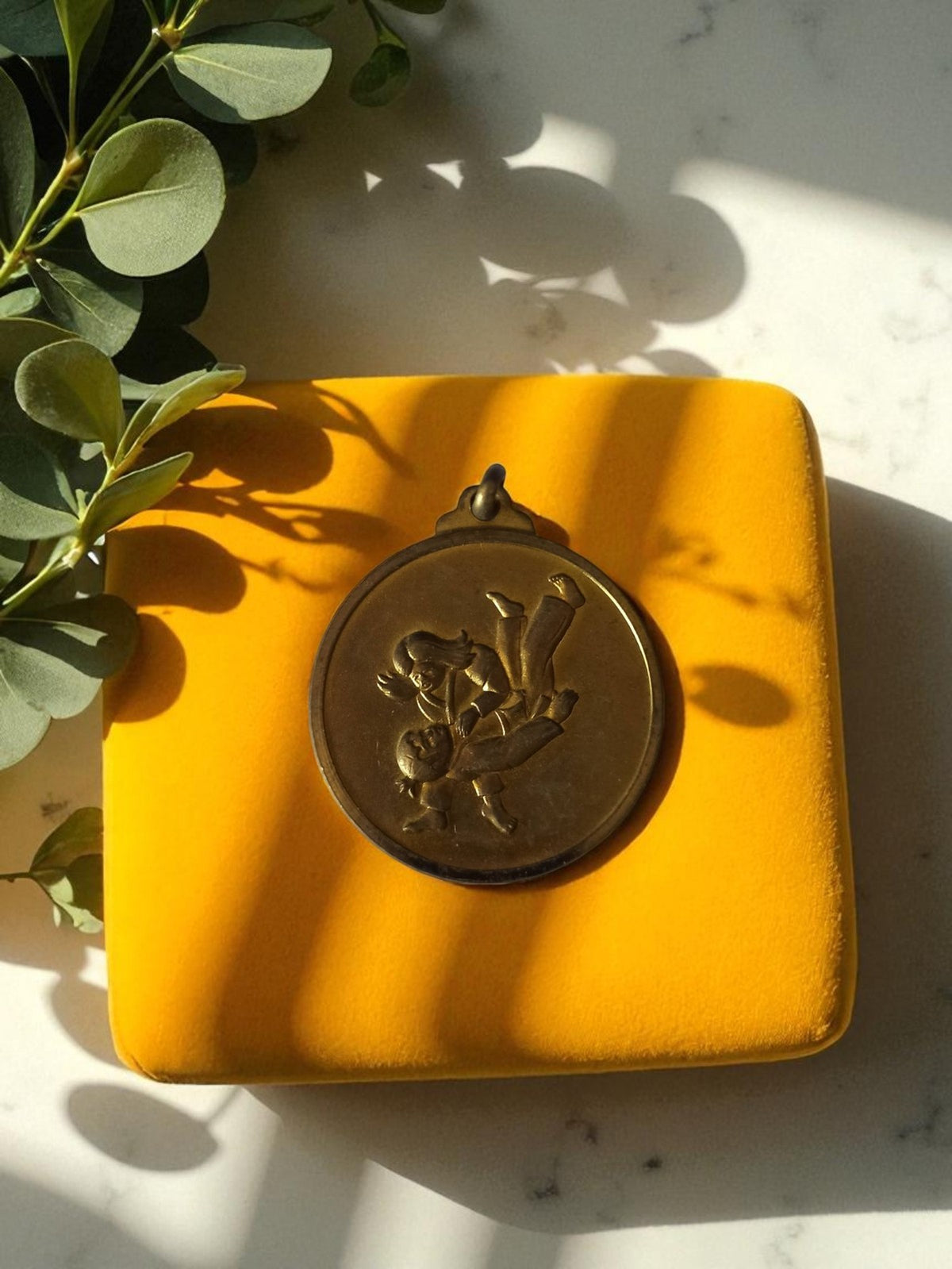 Vintage bronze judo medal, martial art, antique trophy with relief decoration