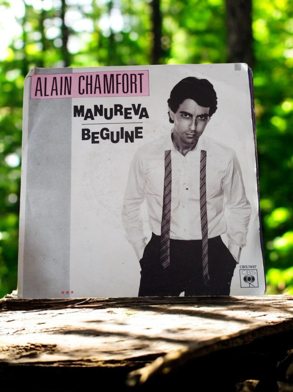Vinyle 45T Alain Chamfort Manureva Beguine CBS7497 vintage années 70