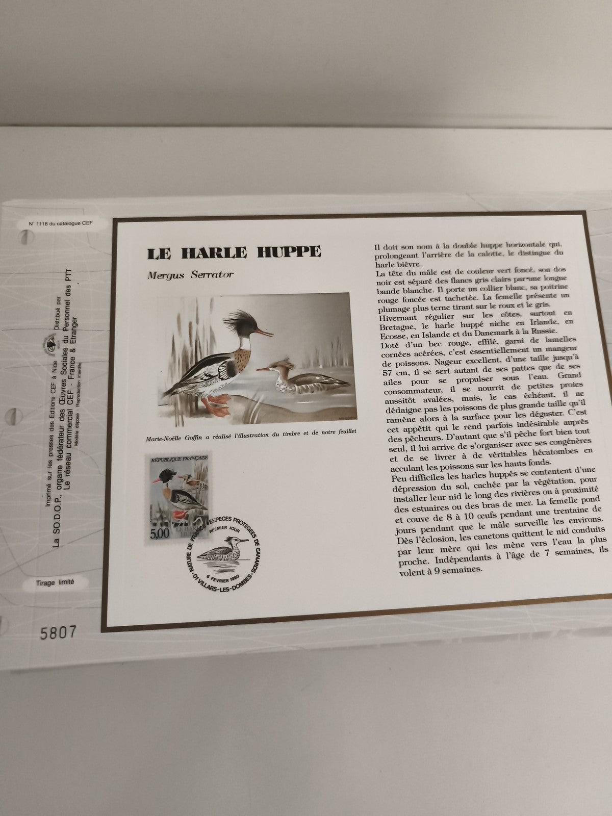 Feuillet philatélique CEF Le Harle Huppé Mergus Serrator timbre 500F France
