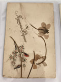 Carte postale ancienne Joyeuses Pâques fleurs séchées oiseaux CPA vintage