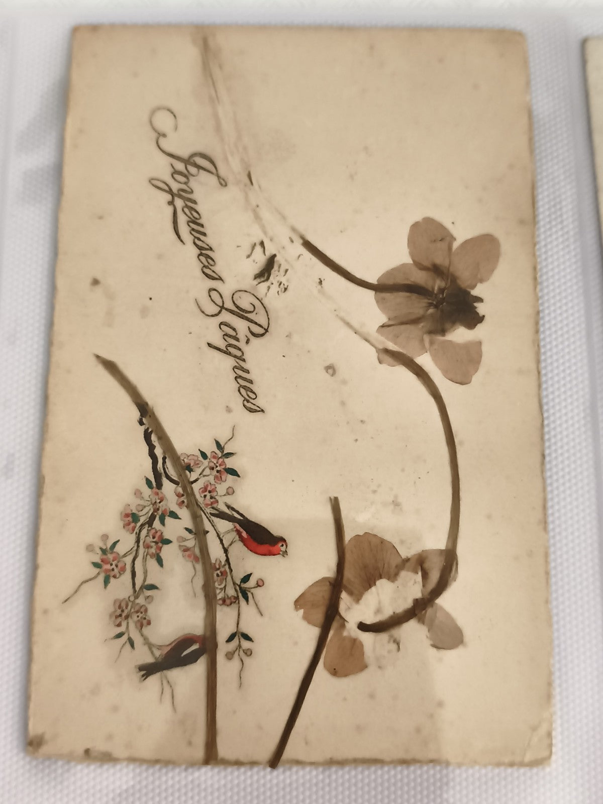Carte postale ancienne Joyeuses Pâques fleurs séchées oiseaux CPA vintage