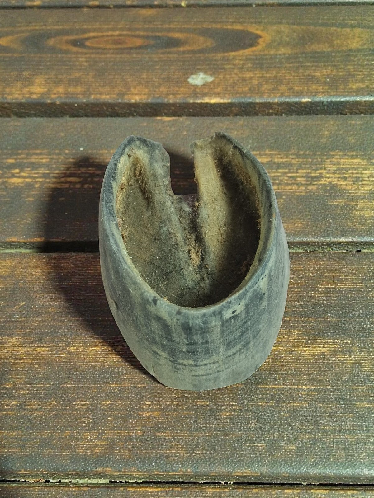 Ancien sabot de cheval naturalisé, taxidermie vintage cabinet de curiosités rare