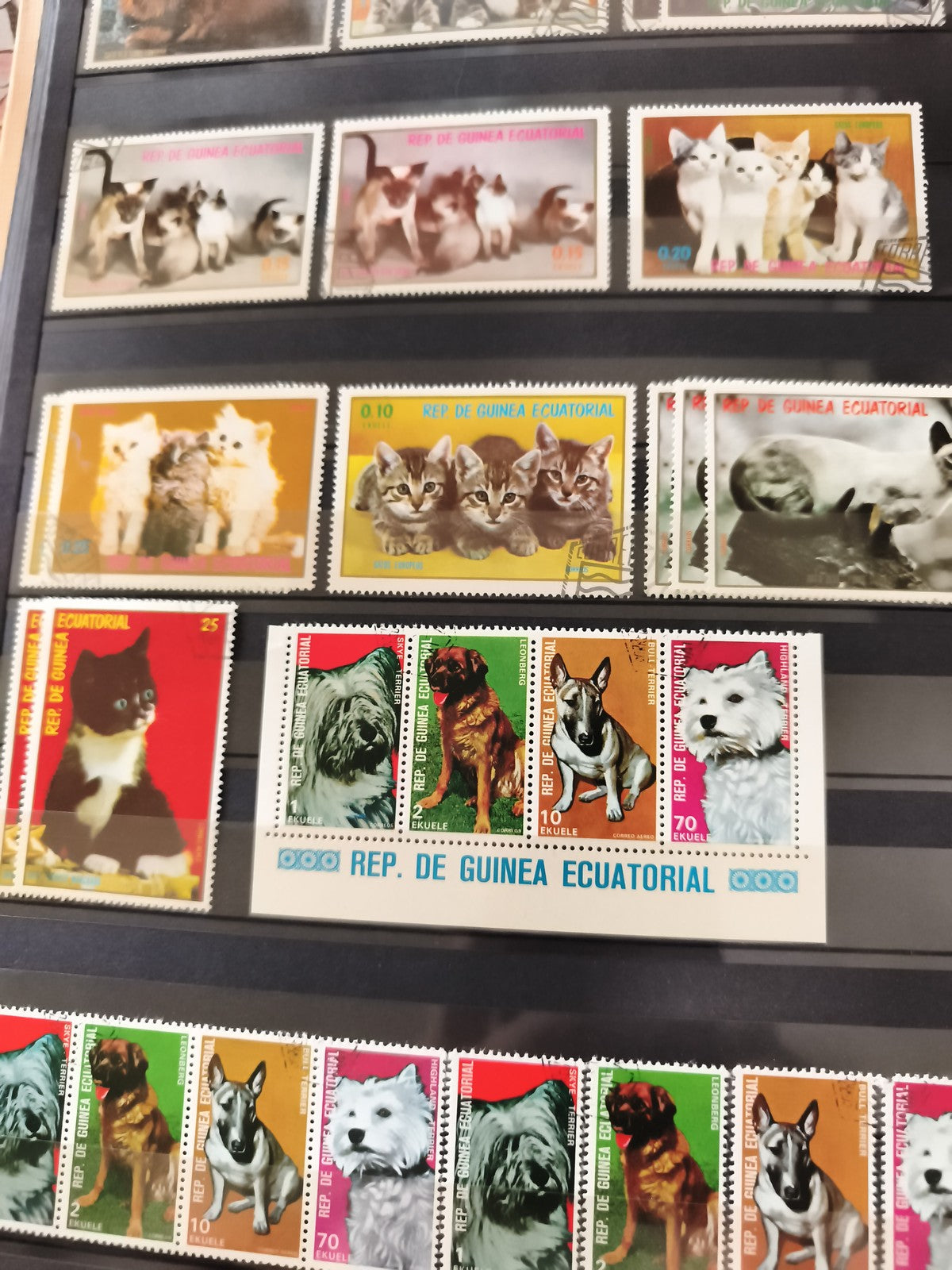 Timbres animaux Guinée Équatoriale anciens, chats chiens, série thématique vinta