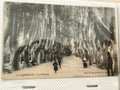 Carte postale ancienne Perpignan Les Platanes CPA photo vintage