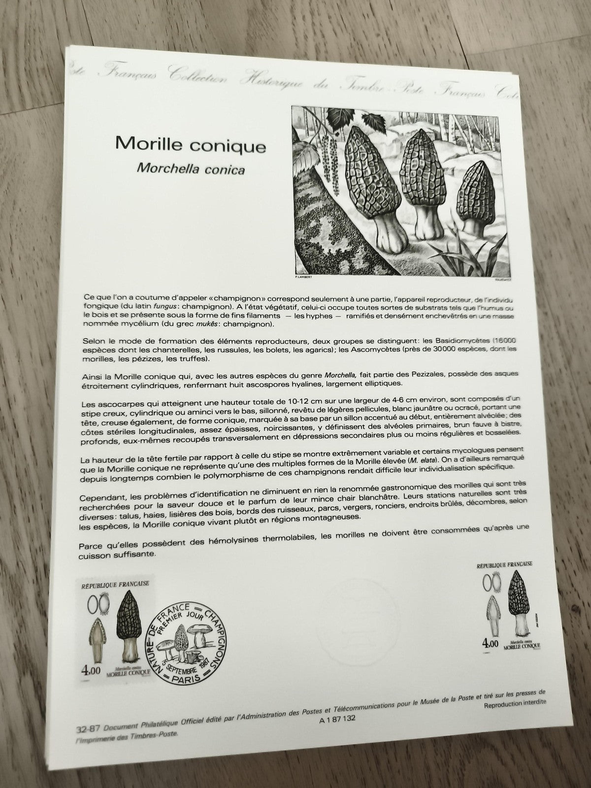Carte philatélique Morille conique Morchella conica timbre France champignon