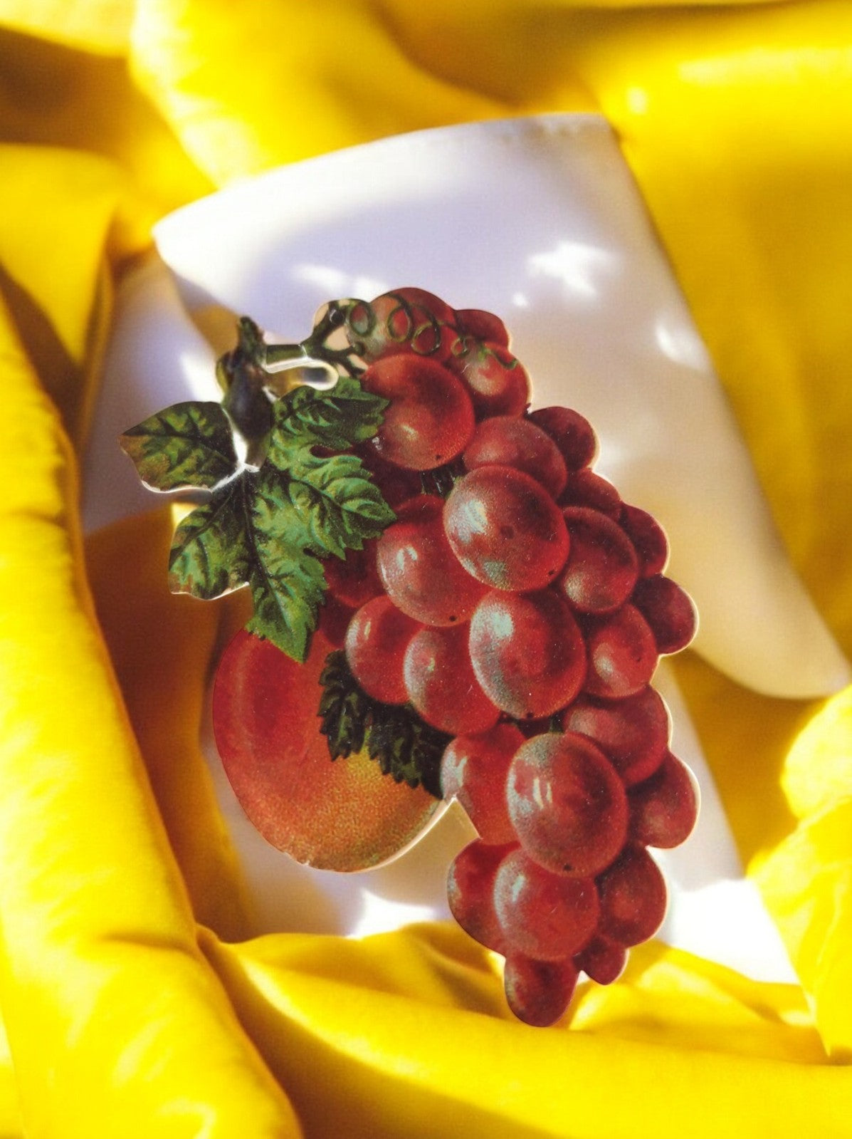 Chromo ancien mini, grappe de raisin, école vintage, image pédagogique