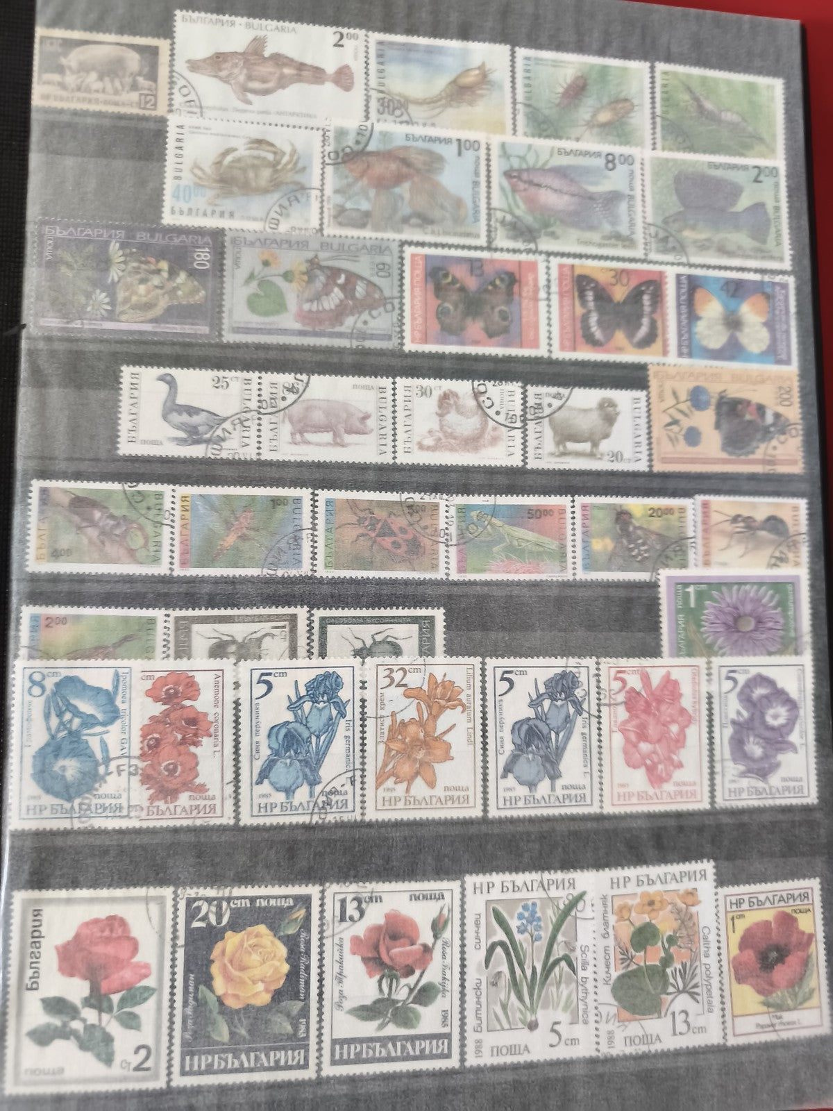 Lot de timbres bulgares usagés, motifs animaux et fleurs, multicolores