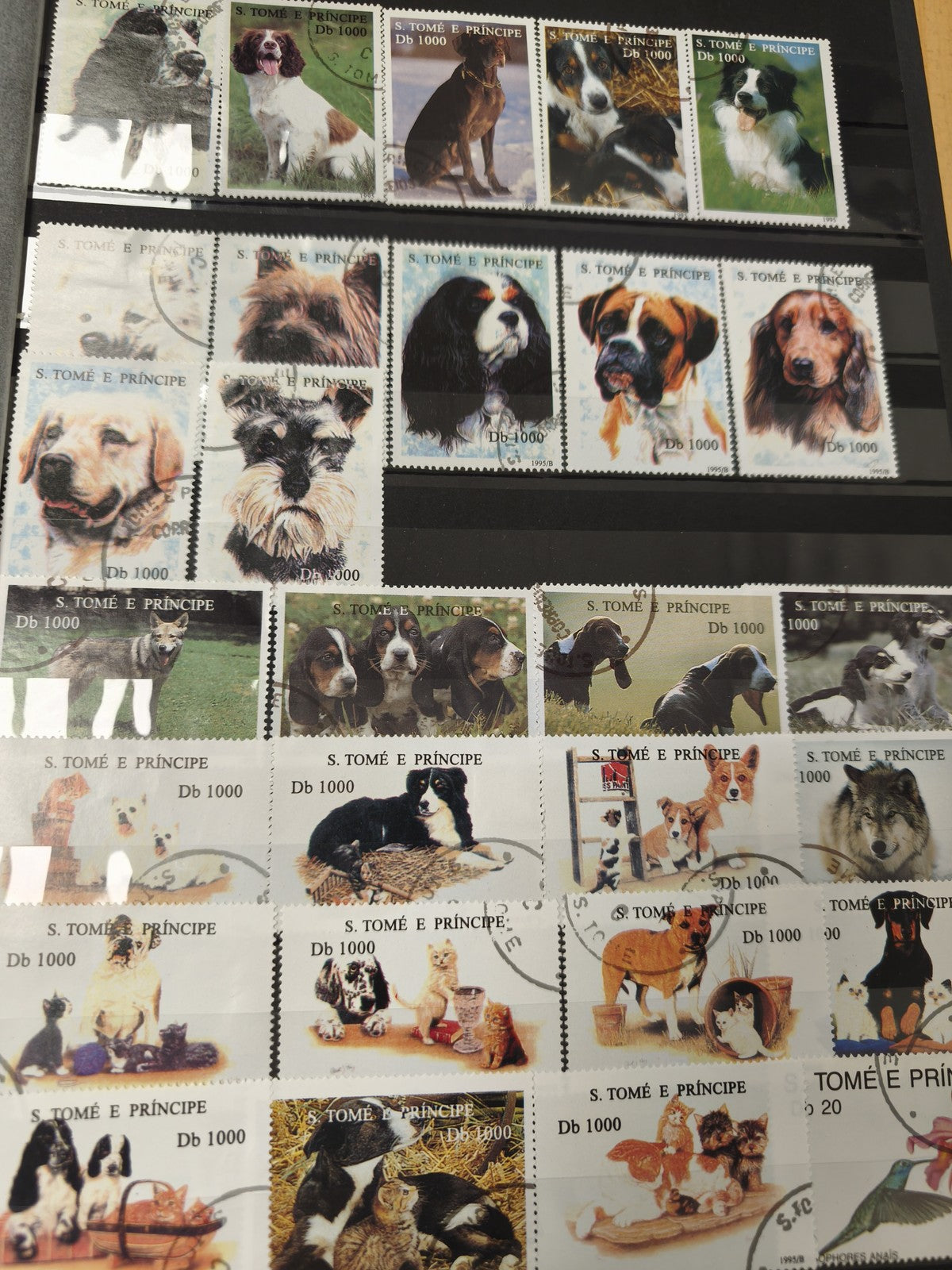 Lot de timbres S. Tomé e Príncipe chiens et animaux domestiques, Db 1000, multic