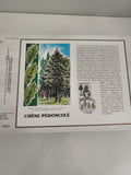 Feuillet CEF philatélie Chêne pédonculé illustré, timbre Huguette Sainson