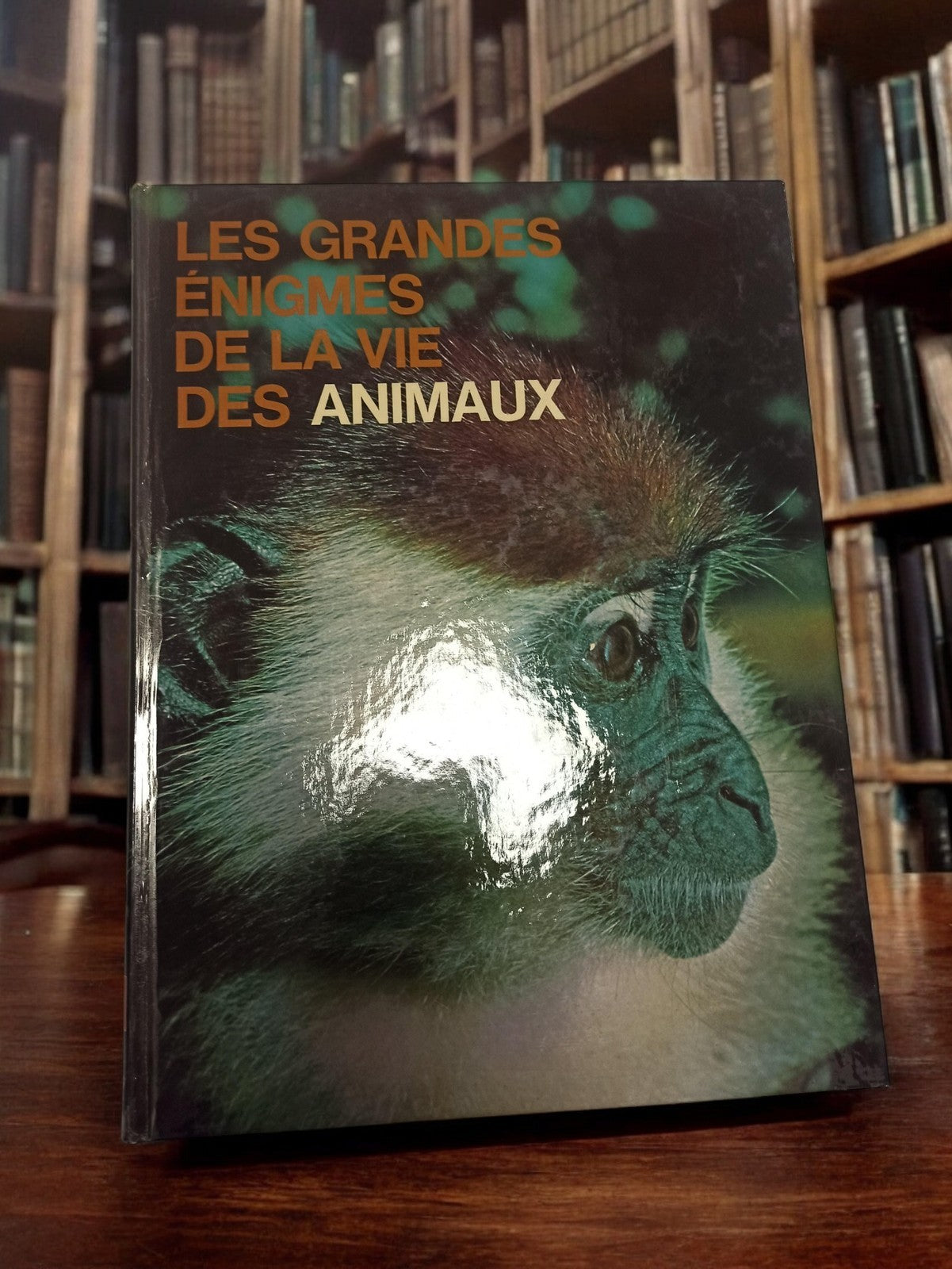 Livre ancien zoologie Les grandes énigmes de la vie des animaux vintage illustré