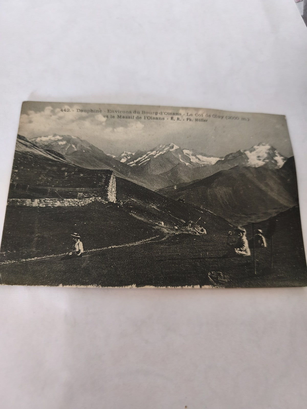 Carte postale vintage dauphin ancien ? Illustration rétro mer collection déco