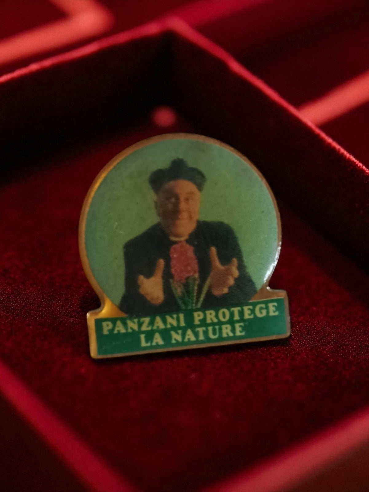 Pin's vintage Panzani protège la nature ancien badge publicitaire rétro