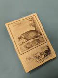 Carte postale philatélie Le Blaireau illustration Buffon oblitération 1988
