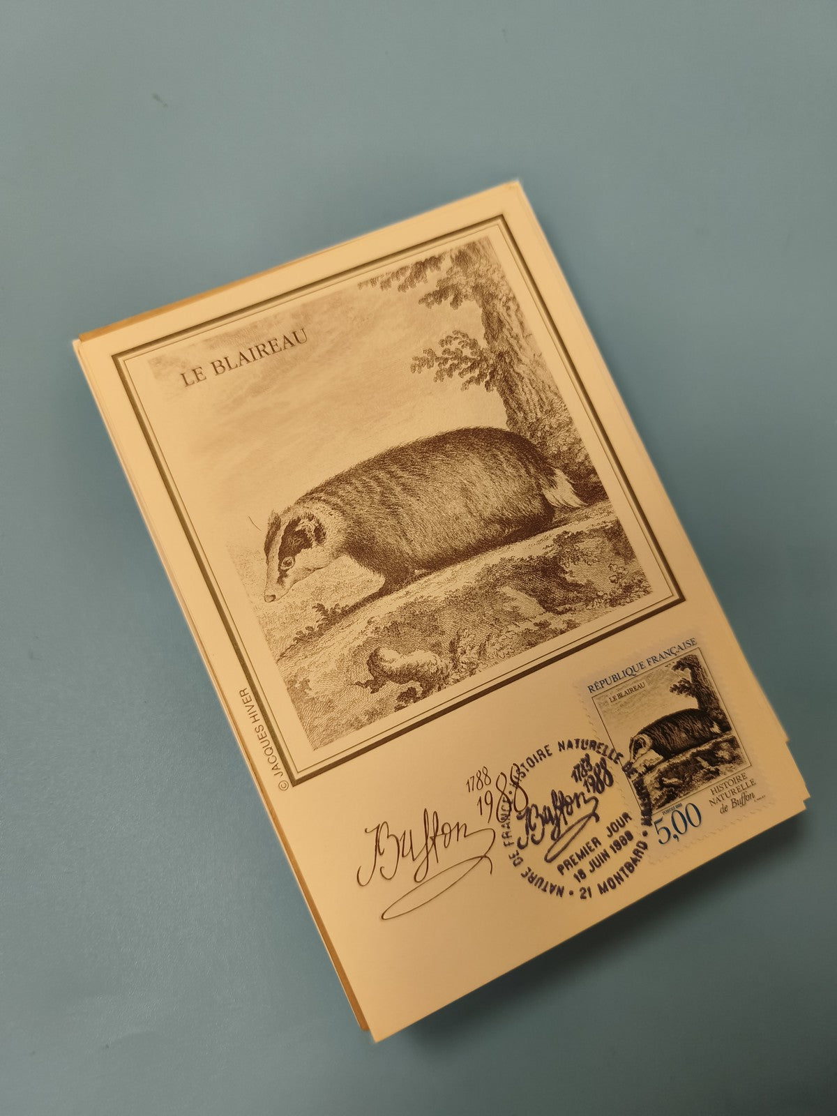 Carte postale philatélie Le Blaireau illustration Buffon oblitération 1988