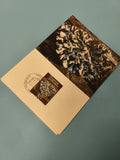 Carte postale timbrée thématique nature, photo lichen, oblitération visible