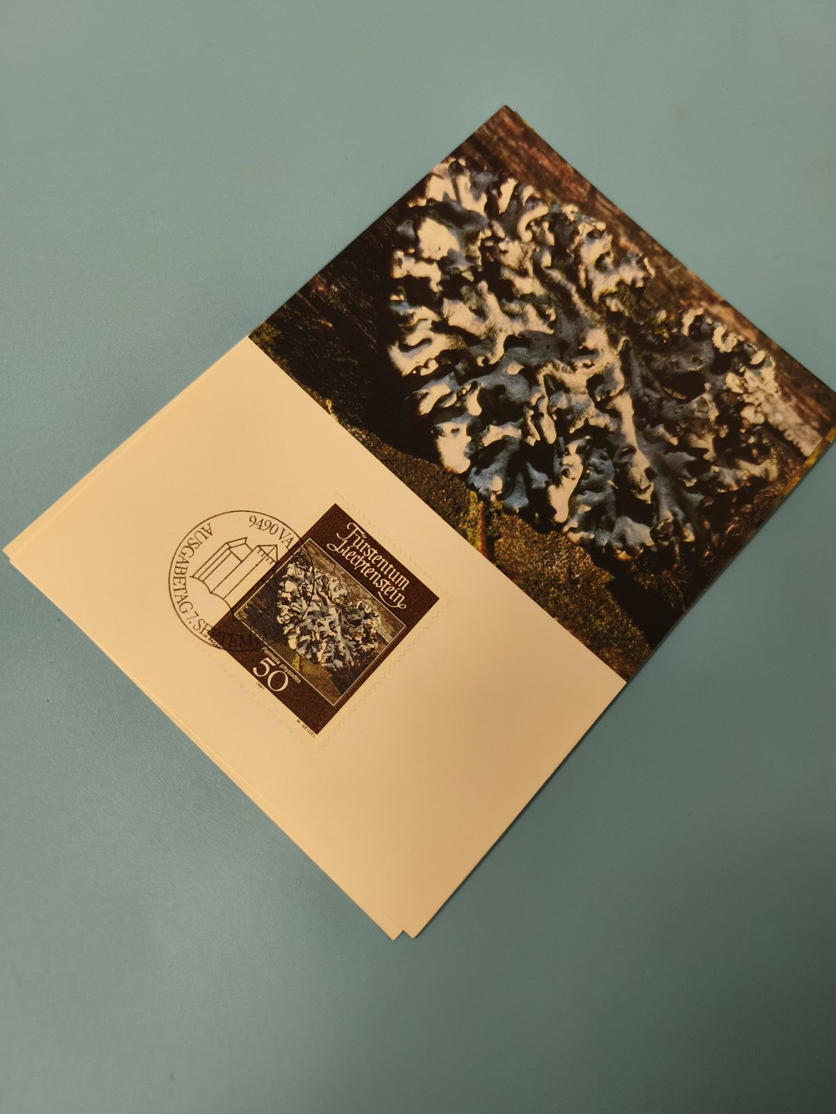 Carte postale timbrée thématique nature, photo lichen, oblitération visible