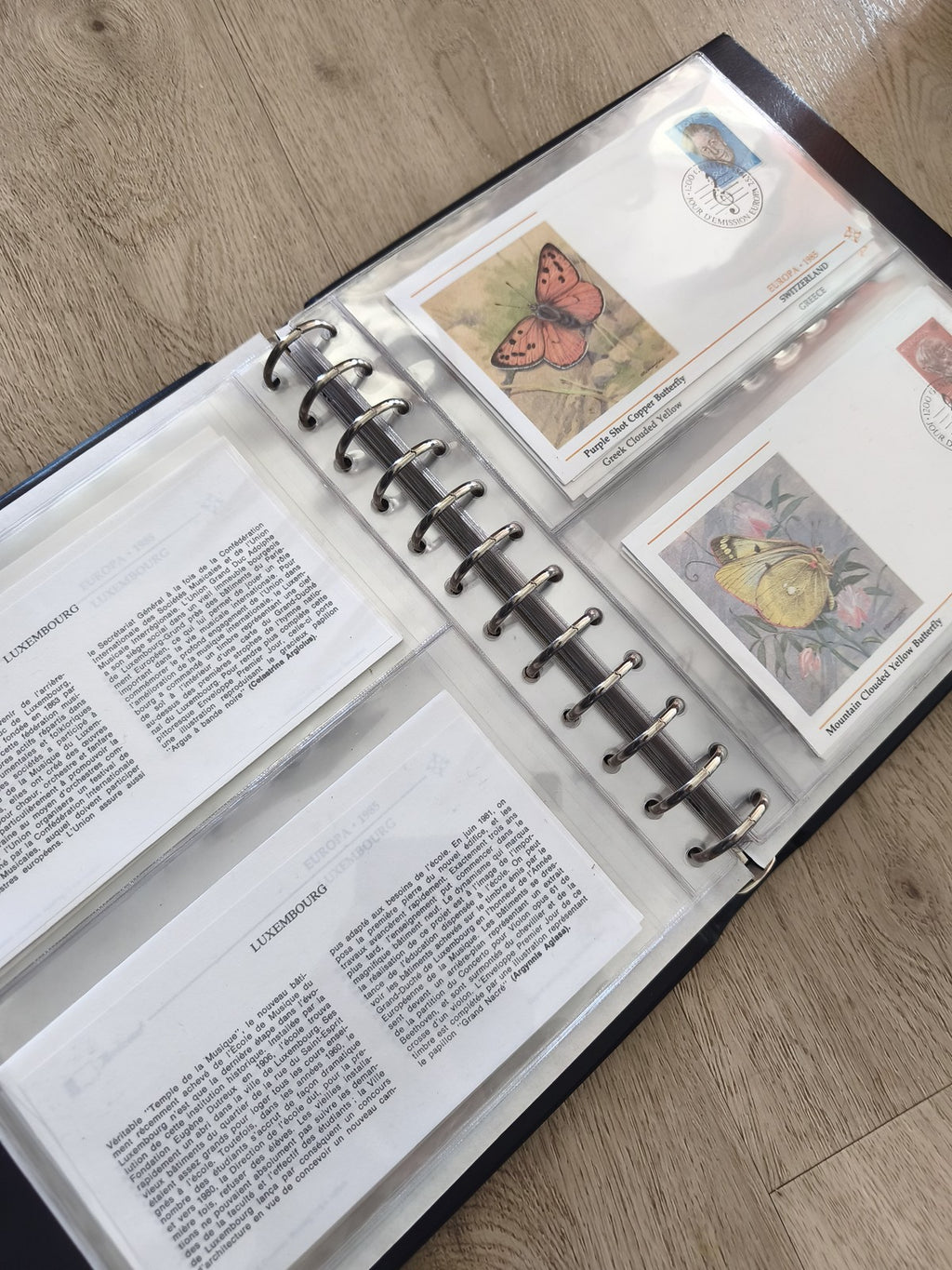 Lot enveloppes premier jour papillons avec classeur, timbres illustrés, multicol