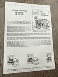 Feuillet philatélique Buffon Le Cerf 1988 timbres 3.00 FR histoire naturelle