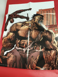 Poster officiel Marvel Hulk Daredevil illustration comics super-héros