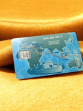 Carte téléphonique vintage SEA-ME-WE 2 Télécarte 50 unités collector