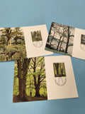 Cartes postales philatélie arbres paysages timbres Liechtenstein lot illustré