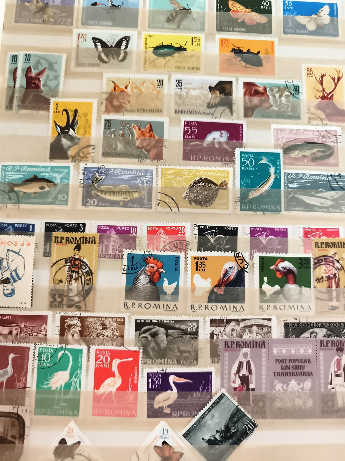 Timbres anciens Roumanie R.P.ROMINA animaux oiseaux oblitérés philatélie vintage