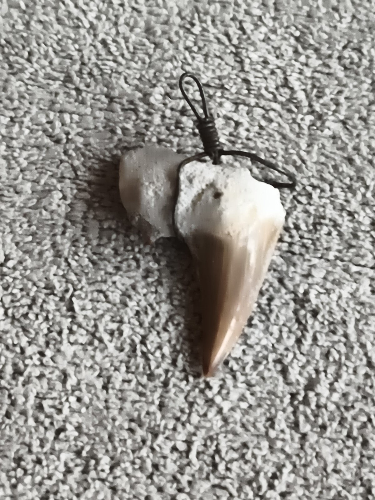 Fossile dent de requin monté pendentif pierre et fil métal