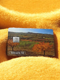 Télécarte 50 unités paysage automnal vintage - Carte téléphonique ancienne