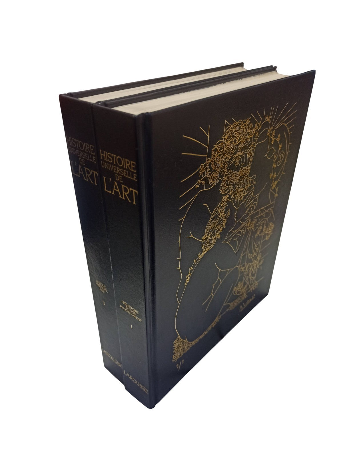 Livres anciens Histoire de France Larousse reliure simili vintage rétro