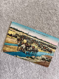 Carte postale CPA troupeau de chameaux scène animée couleur