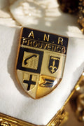 Pin's blason A.N.R Prouvenco doré émaillé vintage rare héraldique
