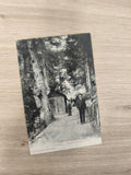 Ancienne carte postale CPA Cauterets chemin forestier Hautes-Pyrénées rétro