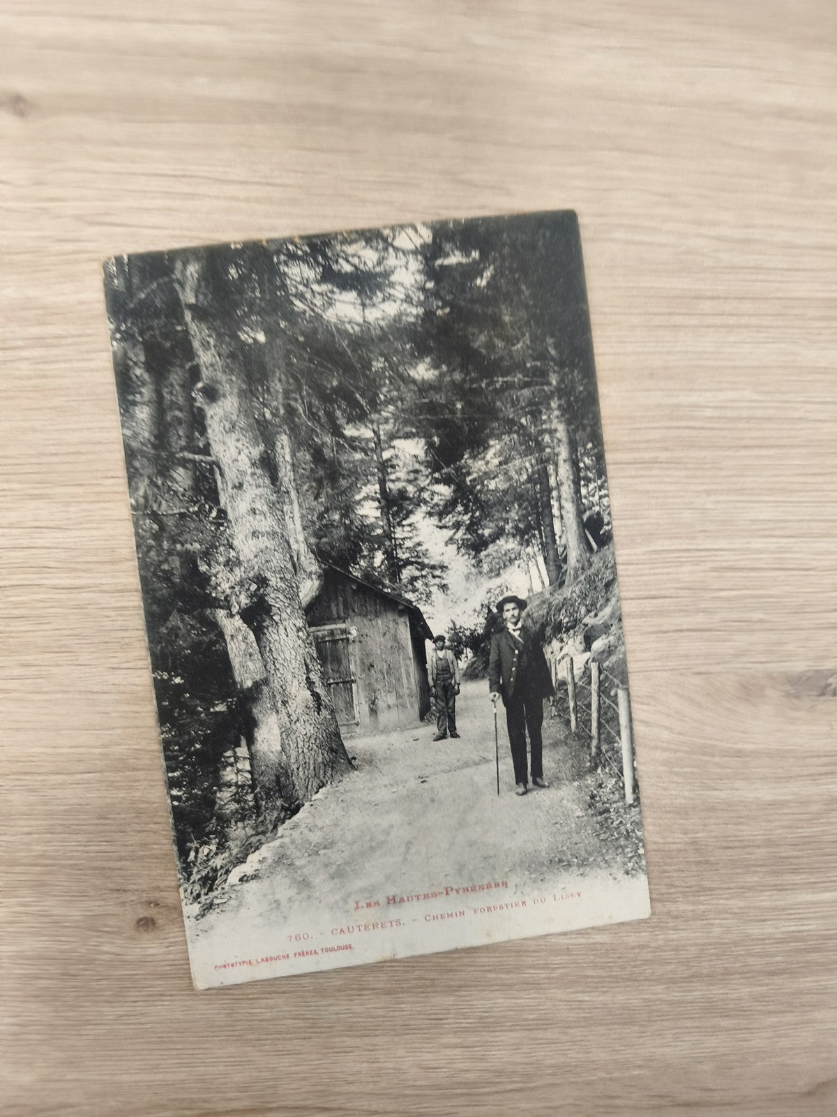 Ancienne carte postale CPA Cauterets chemin forestier Hautes-Pyrénées rétro