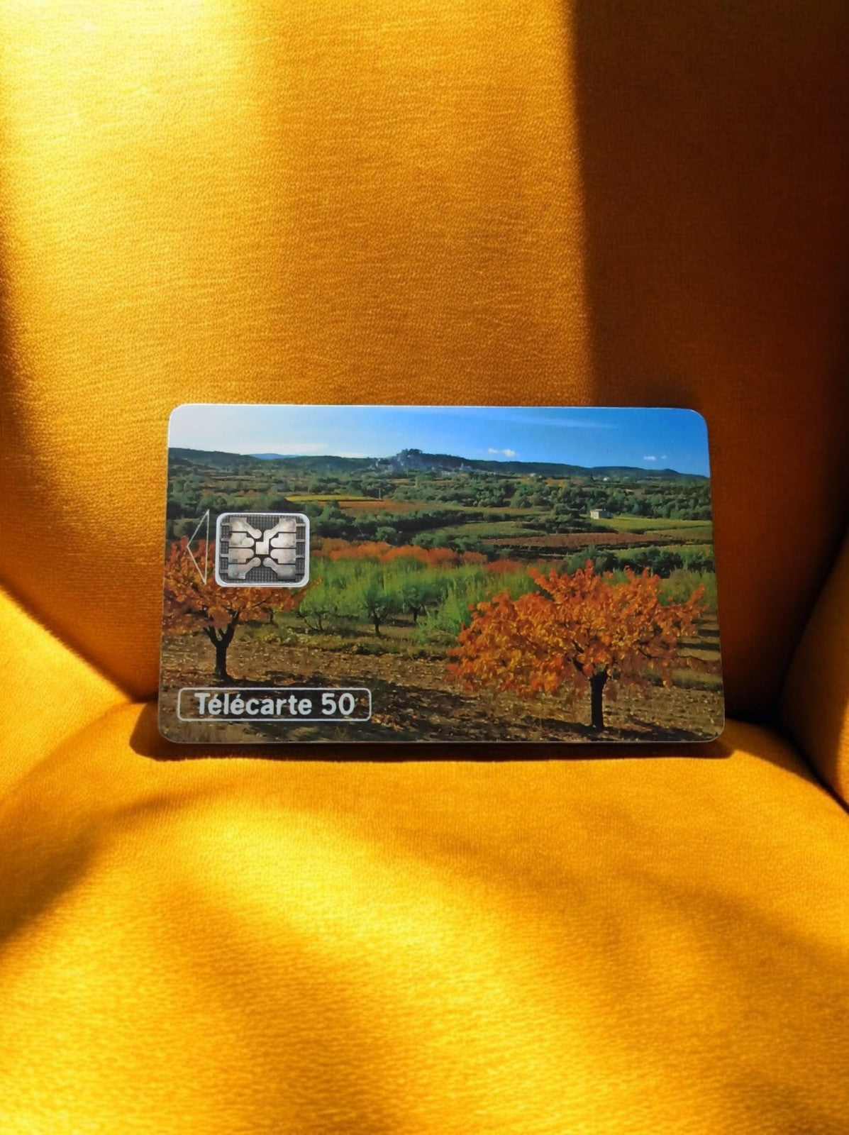 Carte téléphonique vintage Télécarte 50 unités paysage rural