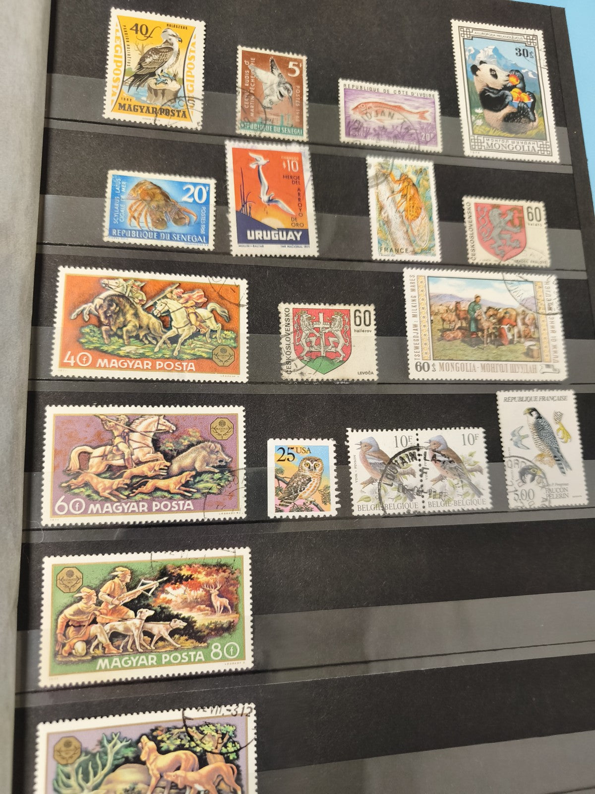 Lot anciens timbres oblitérés Magyar Posta animaux monde collection philatélie