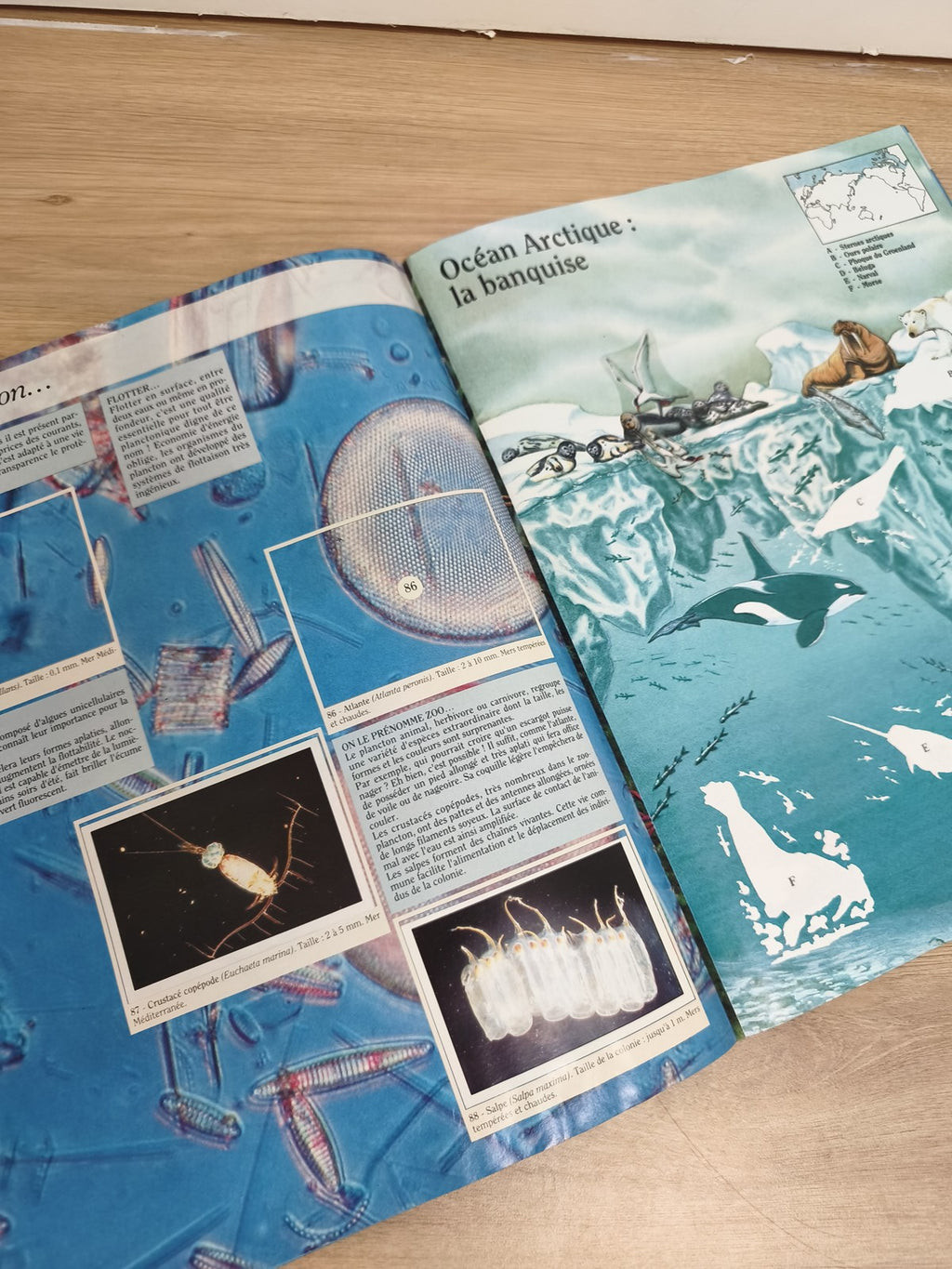 Vintage album Panini La Planète Bleue incomplet ? Océan, animaux marins