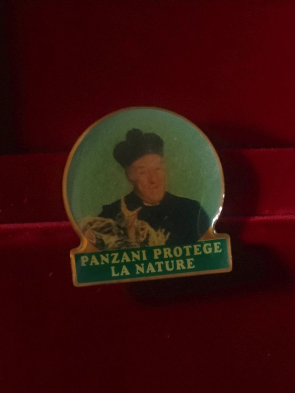 Pin's publicitaire vintage Panzani protège la nature badge ancien rétro