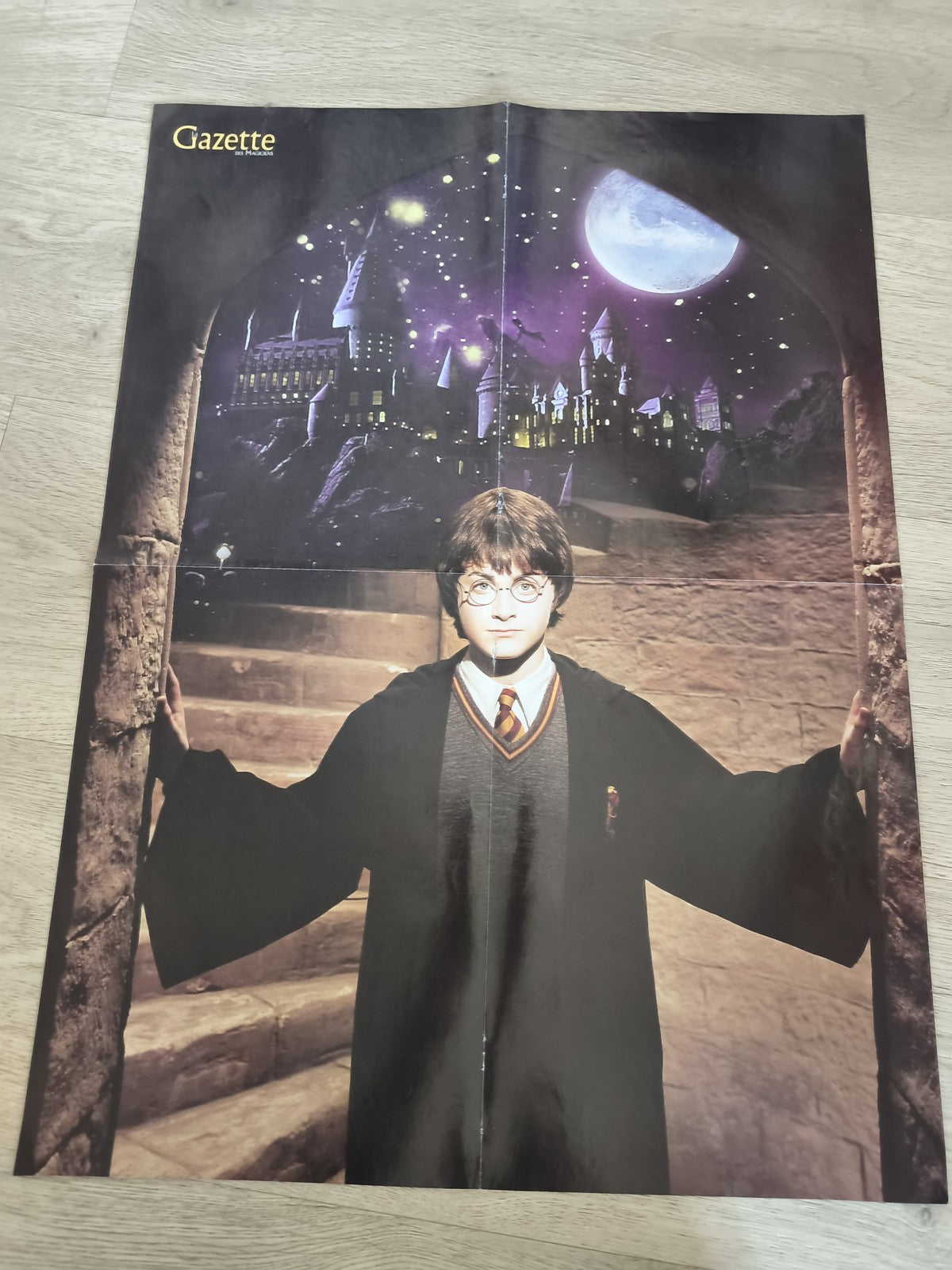 Poster décoratif Harry Potter d?occasion ? Affiche murale film fantasy