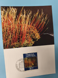 Carte postale Liechtenstein timbre 80c Ausgabetag 7. Sept. motif végétal