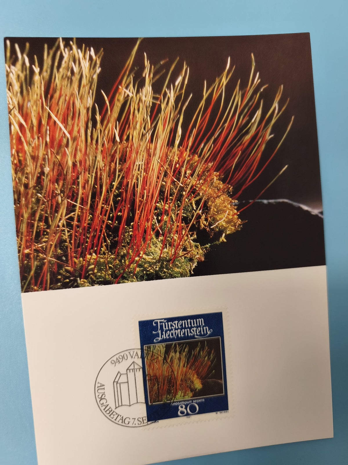 Carte postale Liechtenstein timbre 80c Ausgabetag 7. Sept. motif végétal