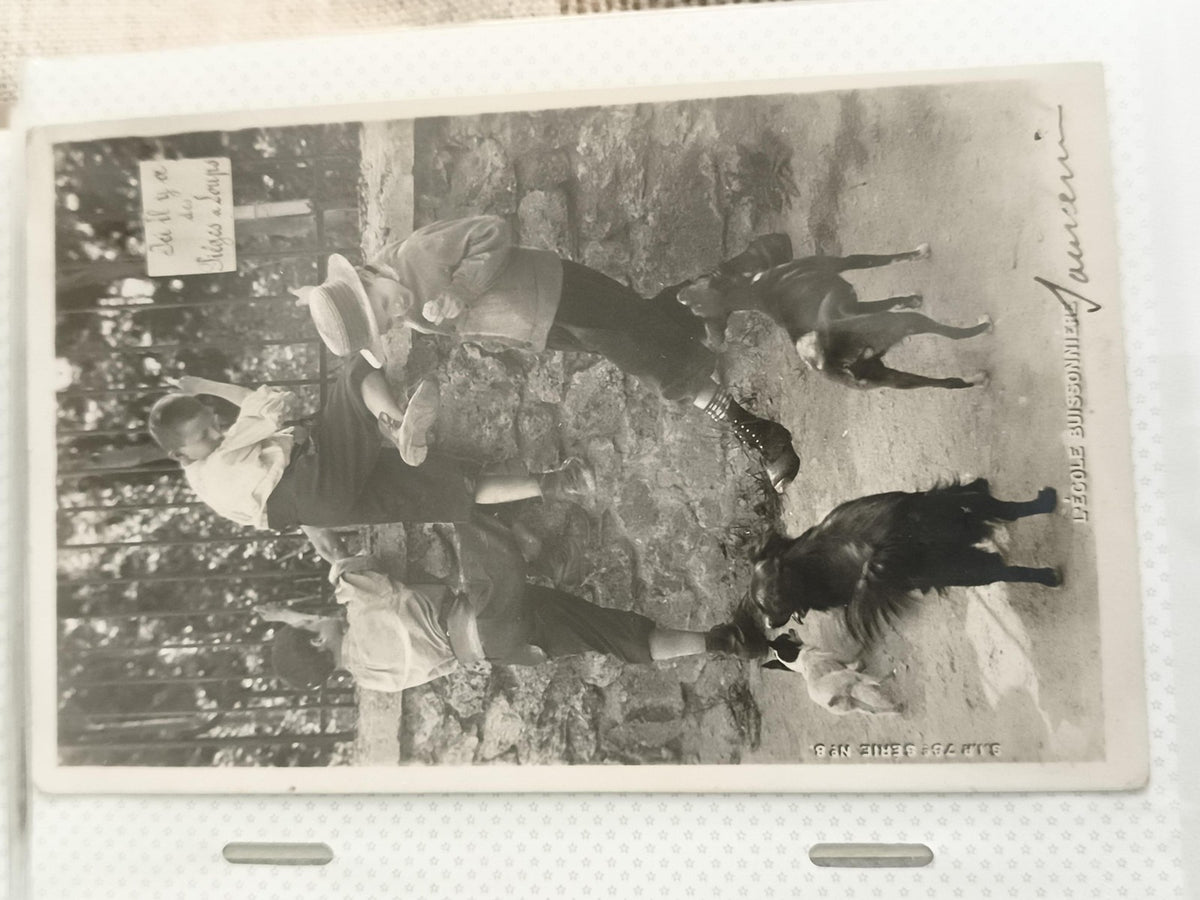 Carte postale ancienne enfants chèvres Laurens photo vintage N&B animaux