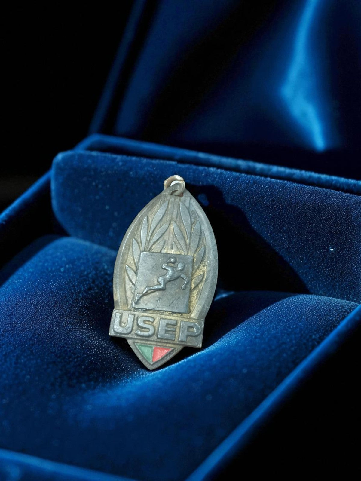 Médaille ancienne USEP rétro sport, aspect argenté, laurier, badge vintage
