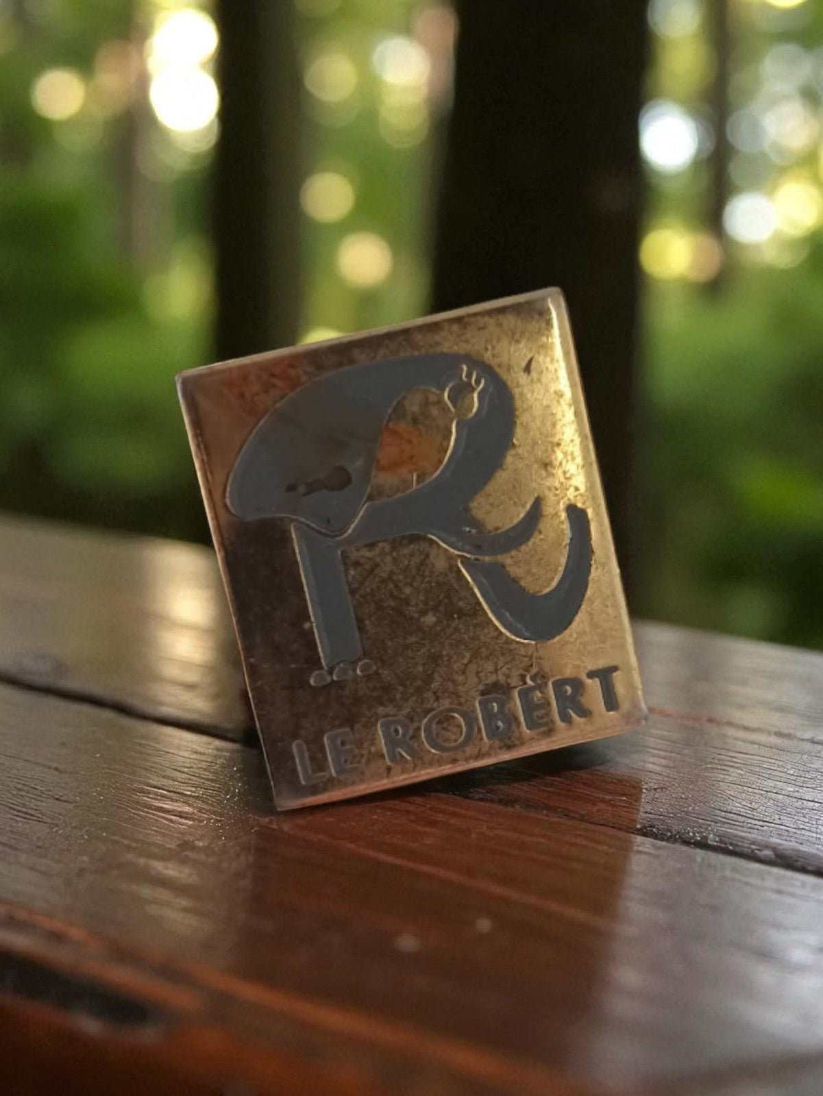 Pin's publicitaire Le Robert vintage carré logo rétro français