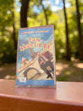 Cassette audio Fun Musette Alexandre Léauthaud vintage rétro musette ancien
