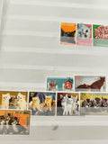 Timbres chats thématiques Nicaragua Guinée Équatoriale animaux philatélie