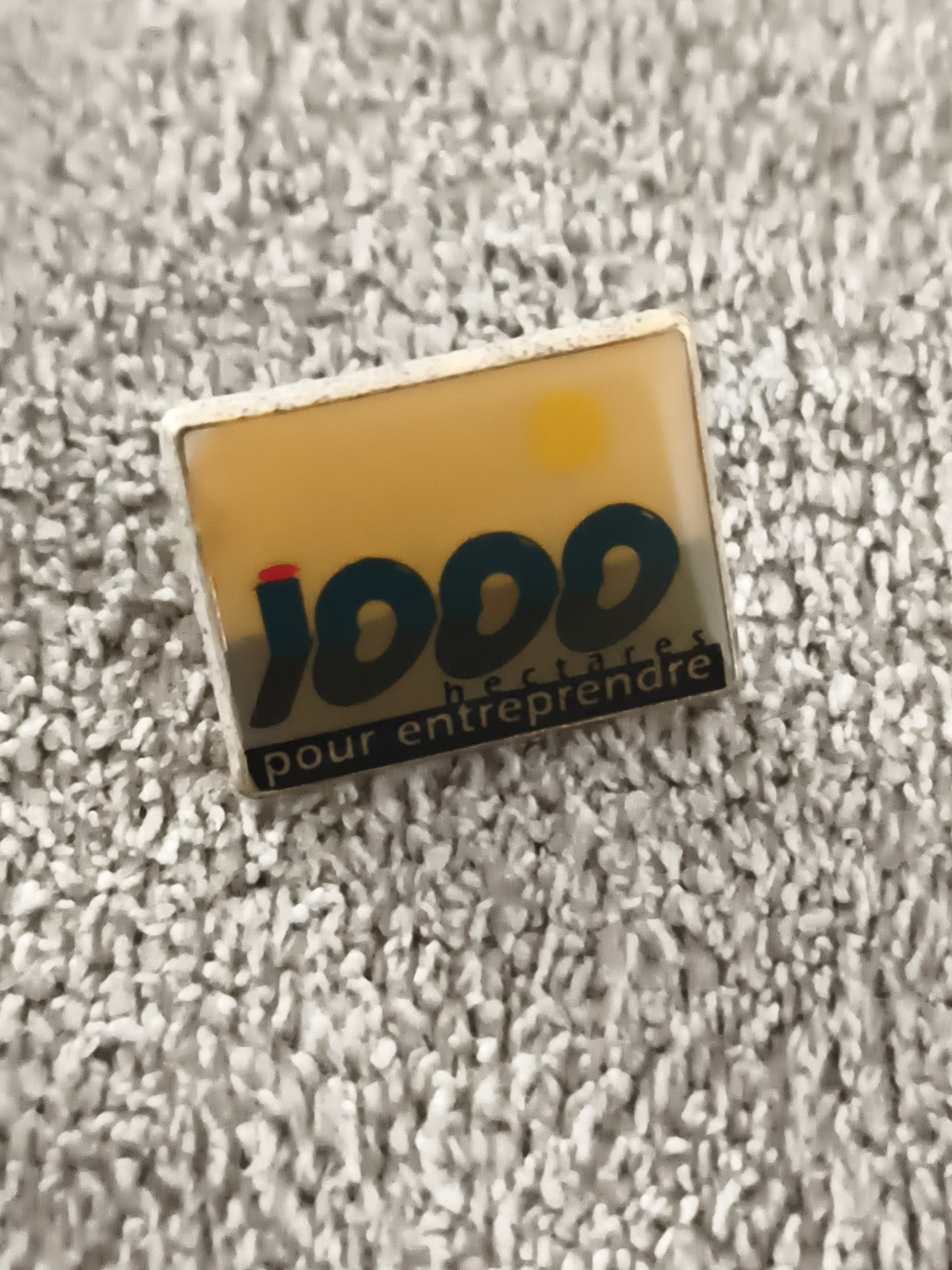 Pin's vintage "1000 hectares pour entreprendre" rectangulaire, années 90